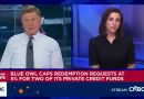 Blue Owl private credit funds redemptions capped at 5% after steep requests